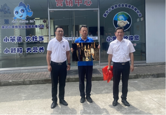 伟德国际1949始于英国